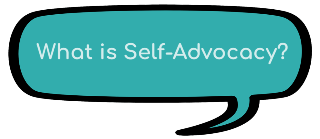 What is self advocacy?